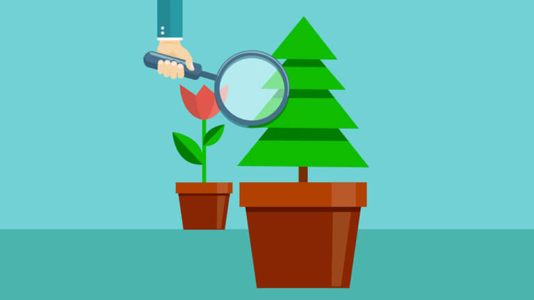 The Everlasting Benefits of Evergreen Content and Why Your Website Needs It