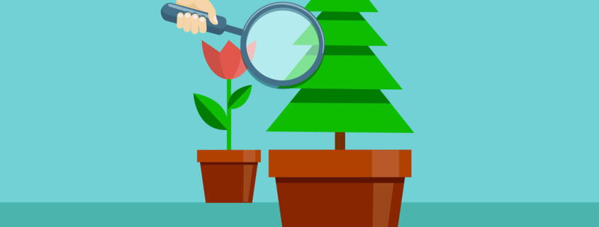 The Everlasting Benefits of Evergreen Content and Why Your Website Needs It