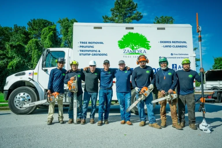 Zamora Tree Service
